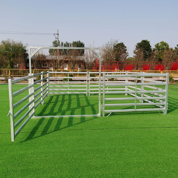Cattle Panel